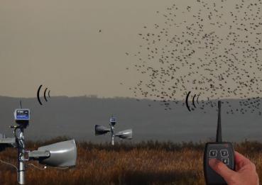 Vögel mit Funk vertreiben